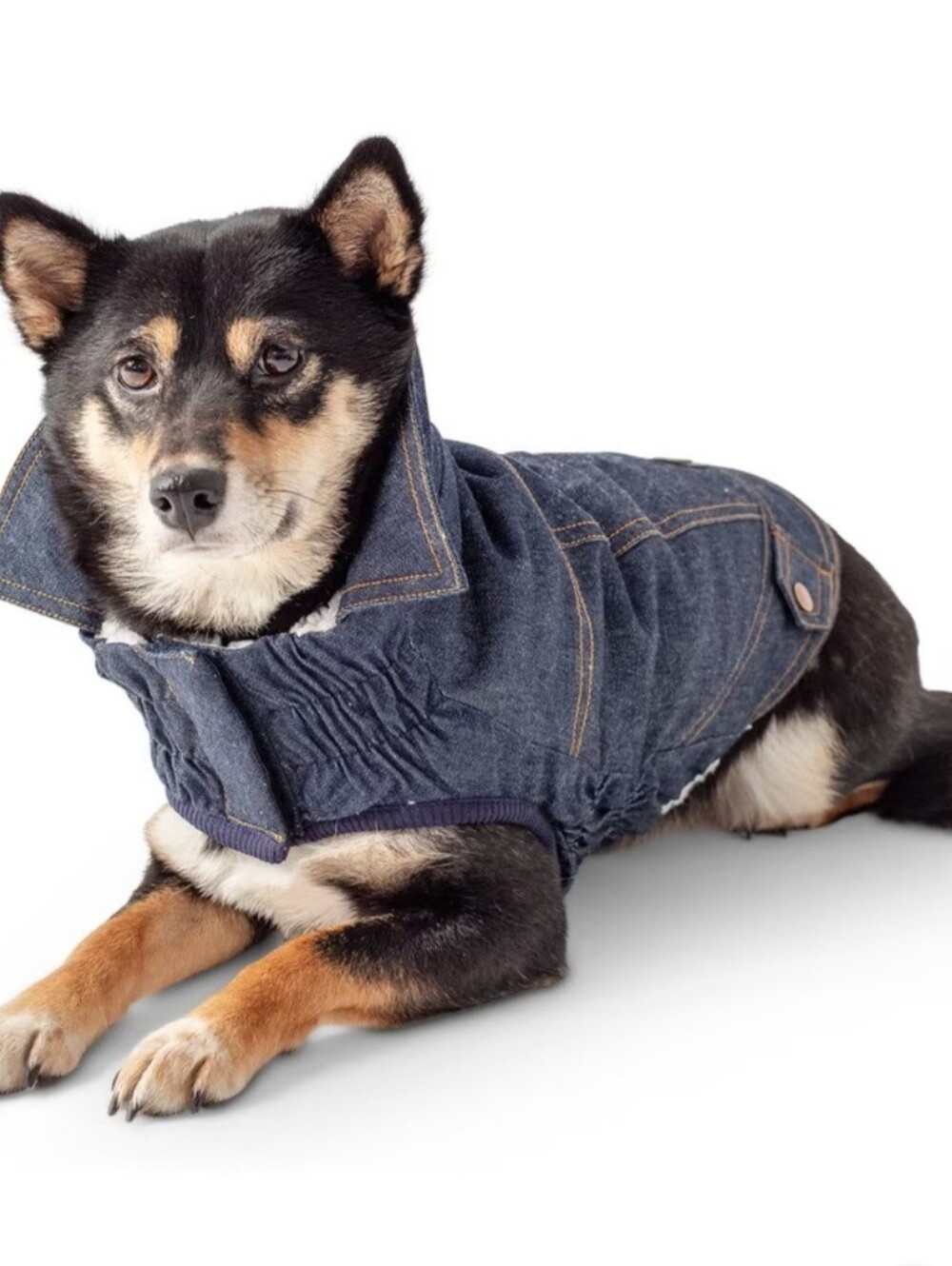 NWT๐ถClassic Denim Dog Jacket in Dark Blue-Stylish Pet Coat Sz L See Measurement